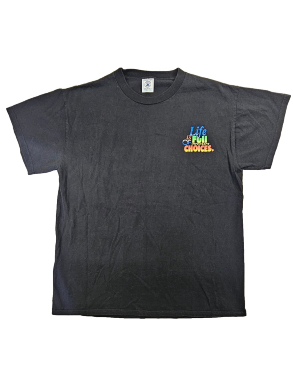 Vintage Guitar Graphic T Shirt Life Is Full of Important Choices Delta L Black Y